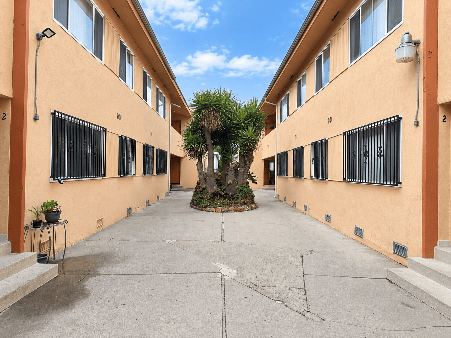 A courtyard with a tree in the middle of it.